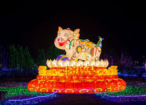 春節彩燈——豬年大吉