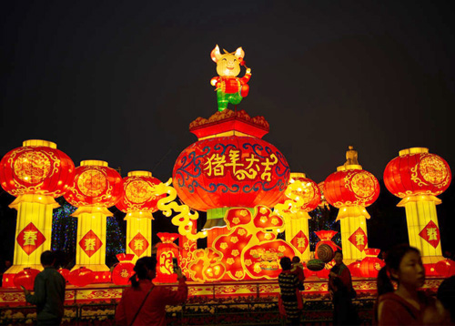 新年花燈——豬年大吉
